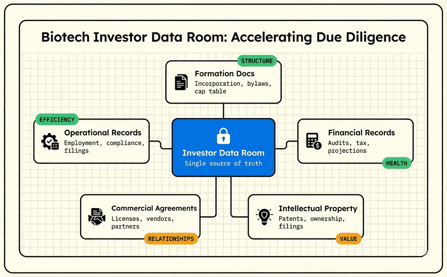 How to create biotech investor data room